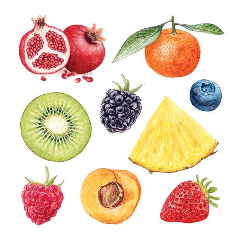 By Abigail Harris Watercolour Fruit Illustration Fruits Painting Watercolor, Watercolour Inspiration Simple, Cute Fruit Drawings, Watercolor Fruit Paintings, Watercolor Art Fruit, Watercolour Fruits, Paint Fruit, Watercolour Fruit, Fruits Painting