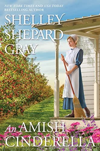 Small Animals, Blacksmith Apprentice, Amish Books, Amish Community, Christian Fiction, Sweet Romance, Pet Sitters, Free Kindle Books, Super Powers