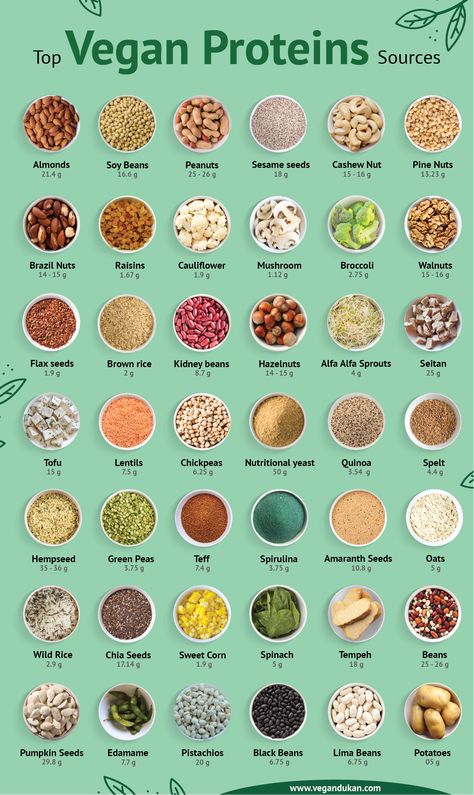 Vegan food are always surrounded by the myth of not having enough protein. To debunk this myth, we made a list of 40+ vegan food items along with their protein content per 100g Vegan Protein Recipes, Vegan Protein Sources, High Protein Vegan Recipes, High Protein Vegan, Vegan Nutrition, Vegan Meal Plans, Snacks Saludables, Tasty Vegetarian Recipes, Vegan Meal Prep