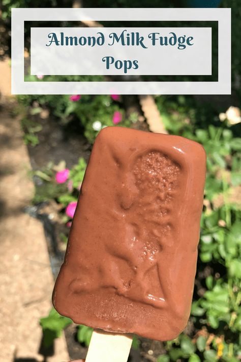 Almond Milk Fudge Pops - Trisha Dishes Almond Milk Popsicles, Soy Free Desserts, Frozen Popsicles, Fudge Pops, Smoothie Popsicles, Chocolate Almond Milk, Popsicle Recipe, Almond Milk Recipes, Dairy Free Breastfeeding