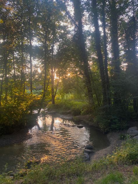 love taking a walk through the forest and just being able to take a moment to enjoy this view<3 Taman Vintage, Taman Air, Forest Core, Image Nature, Cottage Core Aesthetic, Pretty Landscapes, Alam Yang Indah, Alam Semula Jadi, Nature Aesthetic