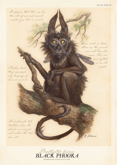 Celtic Mythology, Irish Mythical Creatures, Mystical Creatures Mythology, Creaturi Mitice, Spiderwick Chronicles, Spirit Ghost, Irish Folklore, Irish Mythology, Mythical Monsters