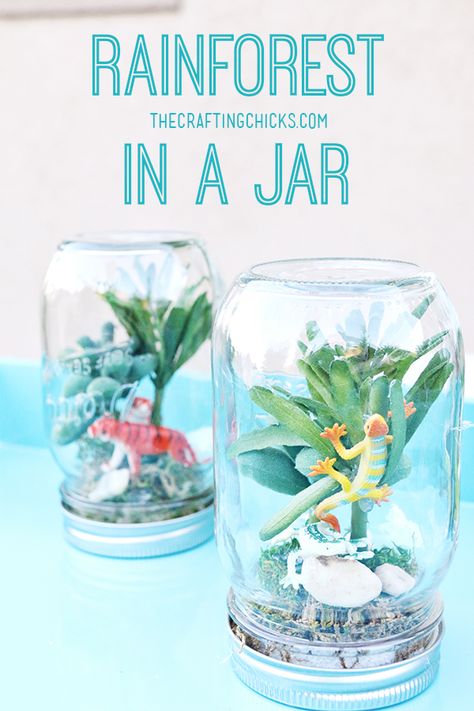 Rainforest in a jar - such a fun kids craft for summer! Craft For Summer, Rainforest Crafts, Jungle Crafts, Vbs Crafts, Fiji Water, Fiji Water Bottle, Diy Spring, Fun Craft, Camping Crafts