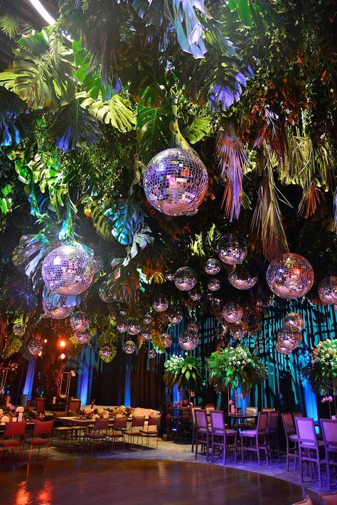 Plants, Disco Balls, The Ceiling, Disco Ball, Ceiling