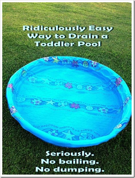 IMG_4342 Diy Pool Fence, Easy Party Games, Toddler Party Games, Drinks Summer, Pool Hacks, Dog Pool, Pool Steps, Baby Pool, Dog House Diy