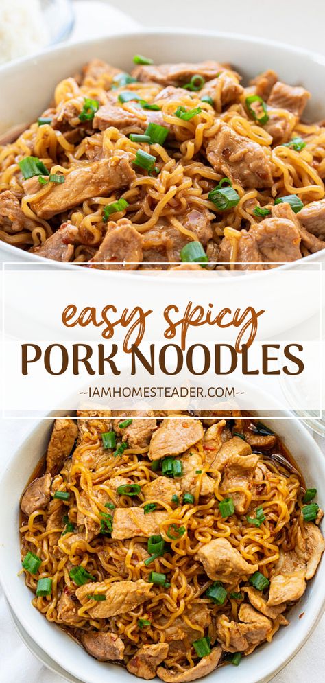 Essen, Pork Noodles Recipe, Spicy Pork Noodles, Leftover Pork Loin Recipes, Leftover Pork Roast, Recipes Using Pork, Recipes Gourmet, Pork Ramen, Pork Noodles