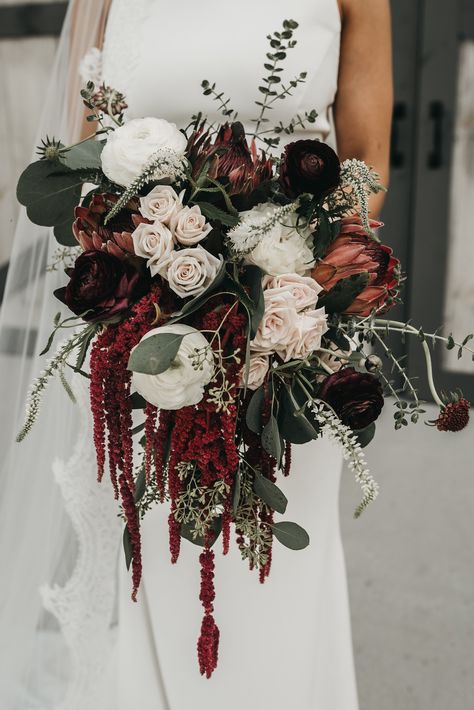 Burgundy, Blush, Ivory Bridal Bouquet, Protea, Eucalyptus, Boho, Bridal Bouquet, Ranunculus, Red Hanging Amaranthus, Chattanooga Fall Wedding, Lang Floral Designs, Howe Farms Ivory Bridal Bouquet, Dark Wedding Theme, Burgundy Bouquet, Cascading Wedding Bouquets, Bridal Bouquet Fall, Autumn Bride, Dark Wedding, Moody Wedding, Fall Wedding Bouquets