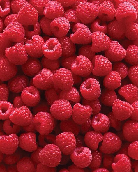 rasberry Fruits And Vegetables Pictures, Growing Raspberries, Raspberry Plants, Vegetable Pictures, Dessert Aux Fruits, Raspberry Seeds, Raspberry Seed Oil, Red Raspberry, Fruit And Veg