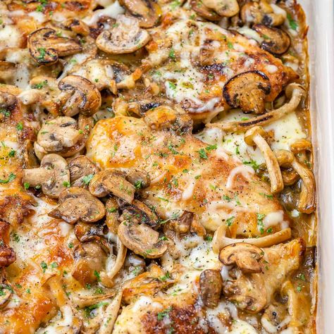 Portabella Mushroom And Chicken Recipes, Cheesy Mushroom Chicken, Baked Chicken And Mushroom Recipes, Chicken Portabella Mushroom Recipes, Baked Chicken Mushroom Recipes, Chicken Mushroom Bake, Baked Mushroom Chicken, Baked Chicken With Mushrooms, Mushroom Chicken Bake