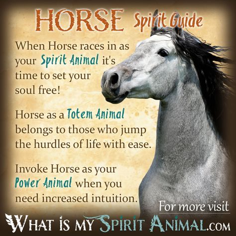 Horse Spirit Totem Power Animal Symbolism Meaning 1200x1200 Spirit Animal Horse, Horse Meaning, Horse Symbolism, Birth Totem, Horse Spirit Animal, Animal Totem Spirit Guides, Spirit Animal Quiz, Find Your Spirit Animal, Quotes Funny Sarcastic