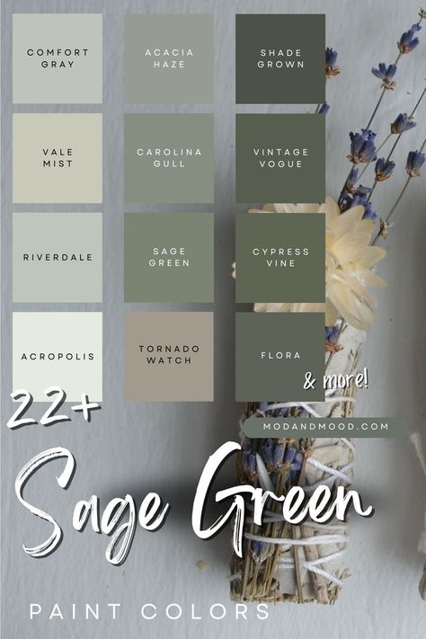 22+ Sage Green paint colors with thumbnails from 12 of the colors over a background of a sage flower bundle Sage Green Living Room, Sage Green Paint Color, Green Walls Living Room, Dark Green Living Room, Green Bedroom Walls, Green Wall Color, Sage Green Paint, Sage Green Bedroom, Sage Green Walls