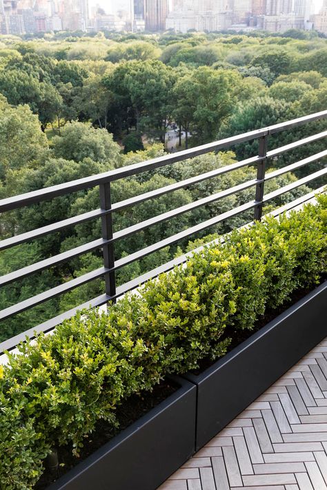 Garden Designer Visit: A Manhattan Terrace with Panoramic Central Park Views - Gardenista Balcony With Plants, Roof Terrace Design, Roof Garden Design, Terrace Garden Design, Rooftop Terrace Design, Balcony Railing Design, Terrace Decor, Rooftop Design, Balkon Design