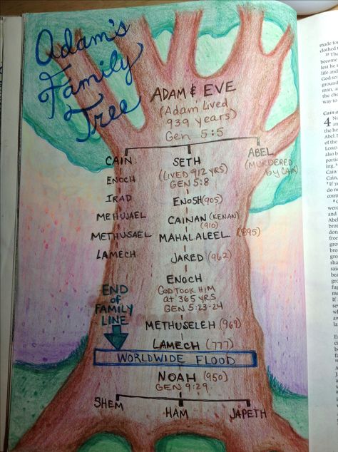 Adam's family tree Genesis 5 Biblical Family Tree, Adam And Eve Family Tree, Bible Family Tree From Adam And Eve, Moses Family Tree, Genesis Family Tree, Adam And Eve Notes, Adam And Eve Bible Journaling, Genesis Drawing, Jesus Family Tree