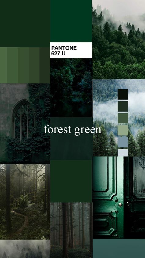 Forest Green Bedroom Color Scheme, Mushroomcore Bedroom, Hunter Green Palette, Colors That Go With Dark Green, Warm Green Color Palette, Forest Green Bedrooms, Green Pallete, Dark Green Rooms, Forest Green Wedding