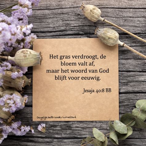 Het gras verdroogt, de bloem valt af, maar het woord van God blijft voor eeuwig. Jesaja 40:8      #Eeuwig, #GodsWoord  https://www.dagelijksebroodkruimels.nl/jesaja-40-8-2/ Scripture Photography, Catchy Words, Bible Board, Woord Van God, Proverbs 21, Scripture Memorization, Bible Truths, Printable Scripture, Awesome God