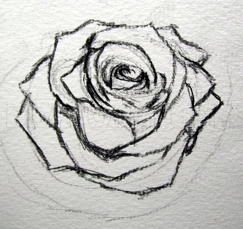 Rose Sketch, Flower Art Drawing, Rose Drawing, Flower Sketches, Roses Drawing, Graffiti Drawing, Doodle Art Designs, Guided Drawing, Art Drawings Sketches Creative