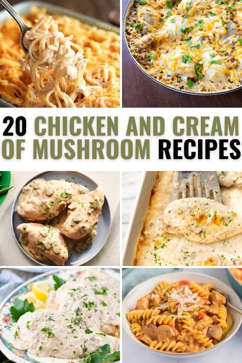 20 Chicken and Cream of Mushroom Soup Recipes Chicken Rice And Cream Of Mushroom Soup, Cream Of Mushroom Soup Recipes With Chicken, Chicken And Cream Of Mushroom, Mushroom Soup Crockpot, Cream Of Mushroom Soup Recipes, Chicken Mushroom Soup Recipe, Recipe Using Cream Of Mushroom Soup, Chicken Cream Of Mushroom, Shredded Chicken Breast Recipes