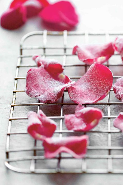 These candied rose petals are easier to make than you may think. And their uses are endless. Rose Petal Recipes, Edible Flowers Recipes, Vegan Wedding Cake, Candy Roses, Rose Recipes, Flower Food, Edible Flowers, Candy Recipes, Rose Petals