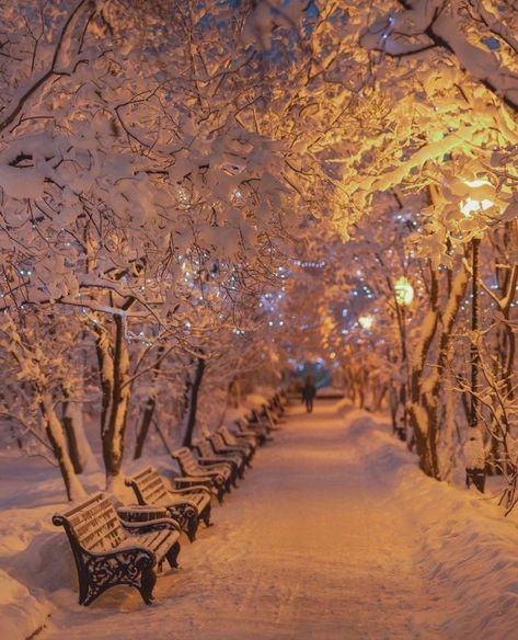 Winters Tafereel, Christmas Dreaming, Winter Szenen, Christmas Destinations, Winter Love, Winter Wallpaper, Christmas Wonderland, Winter Scenery, Winter Beauty