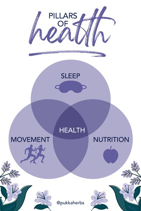 Pillars Of Health, Mom Pooch, Health Chart, Fitness Facts, Sleep Health, Health And Fitness Articles, Wellness Inspiration, Best Fat Burning Foods, Fitness Articles