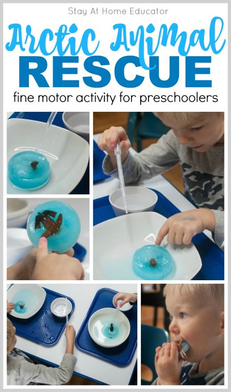 Looking for some science activities for preschoolers? This one fits into your Arctic theme, polar animals theme, or winter themes in preschool. Teach about the states of matter with this science experiment. Work on fine motor skills and emergent writing, too. This arctic theme activity works well at the sensory table, too. Include it in your homeschool preschool activities. Science Animal Activities, Arctic Animal Toddler Activities, Arctic Animal Stem Activities, Polar Preschool Activities, Arctic Animal Movement Cards Free, Arctic And Antarctic Activities, Preschool Animals In Winter, Activity Preschoolers, Arctic Animals Preschool Activities