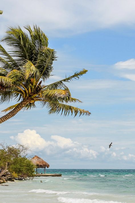 Las mejores playas en Cartagena de Indias - Es Parte del Viaje Travel, Gap Year, Travel Dreams, Vision Board, Places To Visit, Quick Saves