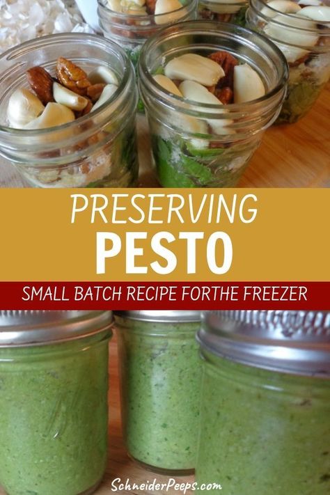 Pesto For Canning, How To Freeze Pesto Sauce, How To Make Pesto With Basil To Freeze, Small Batch Pesto, How To Freeze Pesto, How To Can Pesto, Canning Hummus, Basil Preserving, Canned Pesto Recipe