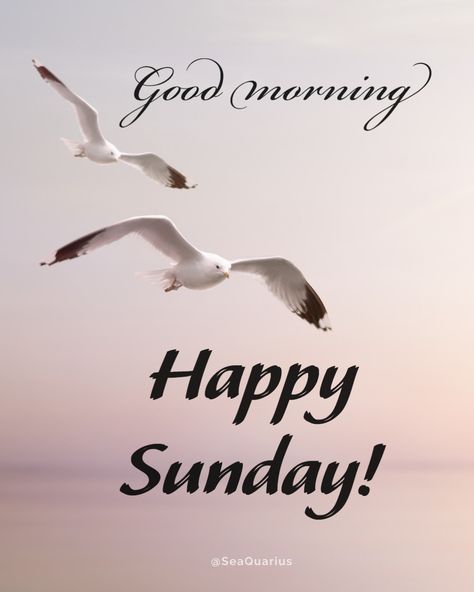 Good morning! Have a terrific Sunday! Happy Sunday Morning Quotes Inspirational, Happy Sunday Morning Beautiful, Good Morning Images Sunday, Sunday Morning Greetings, Good Morning Quotes Sunday, Sunday Funny Images, Sunday Good Morning Wishes, Morning Sunday Quotes, Sunday Wishes Images