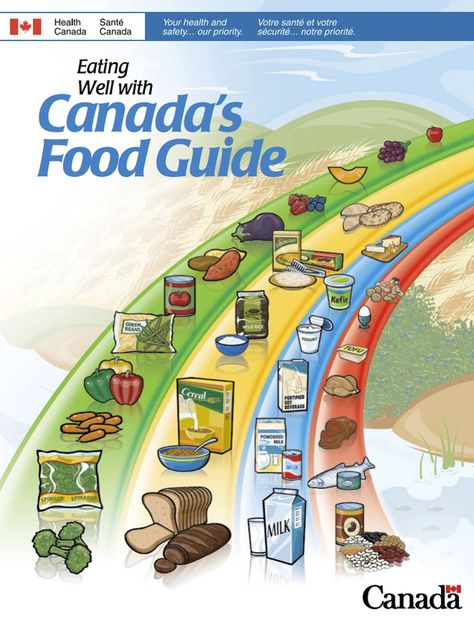 Canada’s current food guide, published in 2007. Canada Food Guide, Canada Food, Food Pyramid, Canadian Food, Healthy Eating For Kids, Healthy Food List, Kids Diet, Group Meals, Plant Based Protein