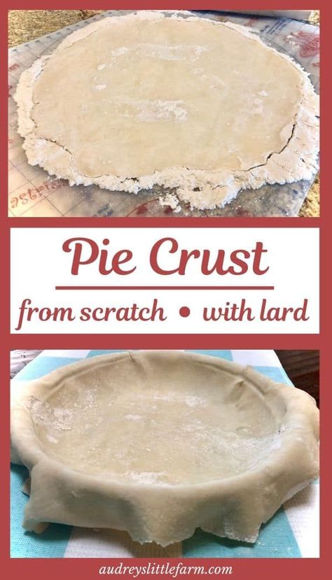 Pai, Lard Pie Crust, No Fail Pie Crust, Best Pie Crust Recipe, Rolled Sugar Cookie Recipe, Butter Pie Crust, Making Pie Crust, Flaky Pie Crust Recipe, Pie Crust From Scratch