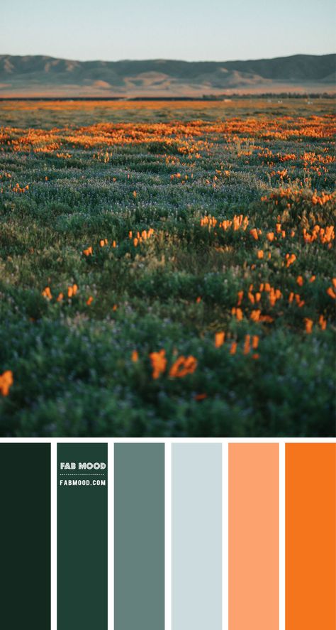 Jewel Tones Colour Combo – Colour Palette #96 1 - Fab Mood | Wedding Colours, Wedding Themes, Wedding colour palettes Wedding Colour Palettes, Mood Wedding, Fab Mood, Teal Color Palette, Orange Color Schemes, Themes Wedding, Orange Color Palettes, Wedding Colours, Color Schemes Colour Palettes