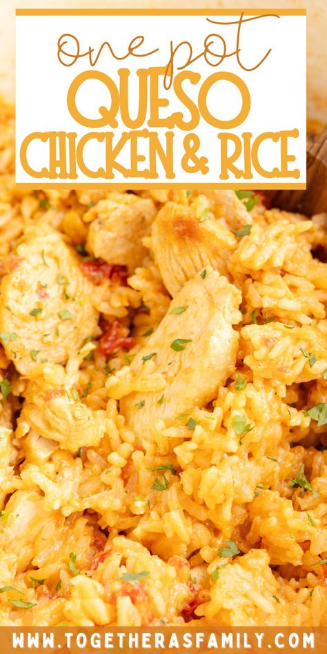 Essen, Easy Chicken Dinner Dairy Free, Chicken Easy Dinner Recipes, Easy Dinner Recipes For Four, Chicken And Rice Queso, Cheesey Chicken Mexican Rice, Easy Bake Chicken Recipe, Queso Rice And Chicken, Salsa Con Queso Chicken And Rice