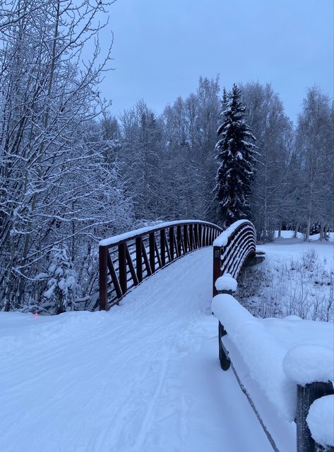 Nature, Fairbanks Alaska Winter, Winter Core, City In Winter, Cold Places, Alaska Winter, Snow Outside, Winter Landscape Photography, Fairbanks Alaska