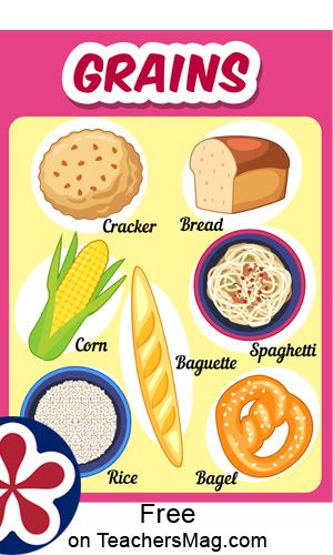 Free Food Group Posters. TeachersMag.com 5 Food Groups For Kids, Food Pyramid Worksheet, Food Groups Chart, Food Groups Preschool, Food Chart For Kids, Food Groups For Kids, Healthy Food Clipart, Food Pyramid Kids, Healthy Food Activities For Preschool