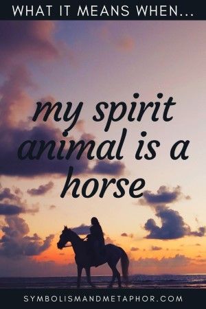 Horse Symbolism (7 Meanings) Dreams & Spirit Animals Horse Symbolism Meaning, Horse Spirit Animal Meaning, Horse Symbolism, Horse Spirit Animal, Horse Symbol, Spirit Animal Meaning, Animal Meanings, Human Back, Riding A Horse