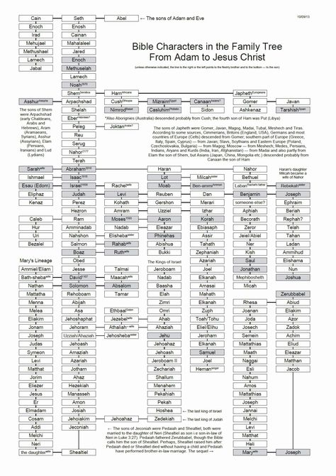 Jesus Family Tree, Bible Family Tree, Genesis Bible Study, Bible Genealogy, Genesis Bible, Bible Timeline, Genealogy Of Jesus, Bible Mapping, Family Tree Chart