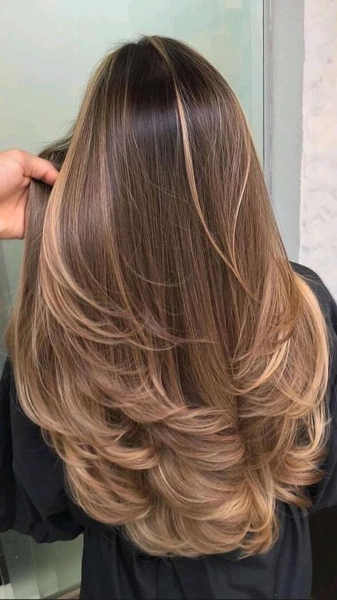 Messy Waves Hairstyle, Layers For Long Hair Back View, Haircuts For Long Layers, Brunette Balayage Hairstyles, Long Hair With Layers No Bangs, Long Hair With Angles, Hair Cut2024, Inward Blowdry, Brunette Long Hair Layers