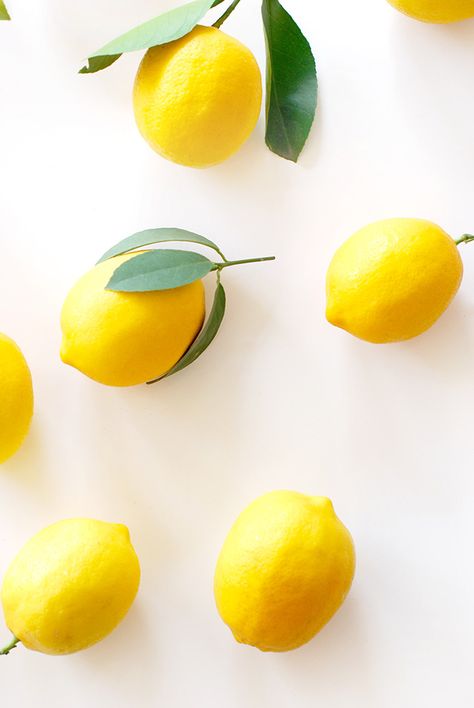 Citron Aesthetic, Bright Yellow Aesthetic, Fresh Photography, Infused Recipes, Lemon Photography, Meyer Lemon Recipes, Yellow Inspiration, Shades Of Yellow Color, Dominique Cosmetics