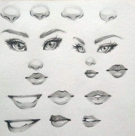 Practice Drawing Eyes, Ways To Draw Eyes, How To Draw Eyes, Mata Anime, Mouth Drawing, Draw Eyes, Nose Drawing, Siluete Umane, Lips Drawing