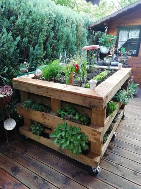 40 Spectacular Recycled Pallet Garden Ideas Potager Palettes, Pallet Projects Garden, Diy Lawn, Vegetable Garden Raised Beds, Jardim Diy, Thriving Garden, Veg Garden, Pallet Garden, Have Inspiration