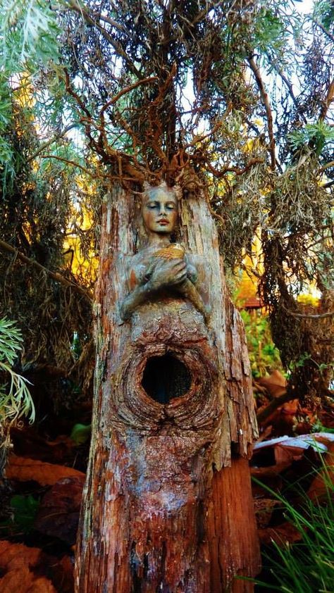 Samana, Weird Trees, Tree Faces, Wood Spirit, Tree Spirit, Driftwood Sculpture, Tree Carving, Old Trees, Unique Trees