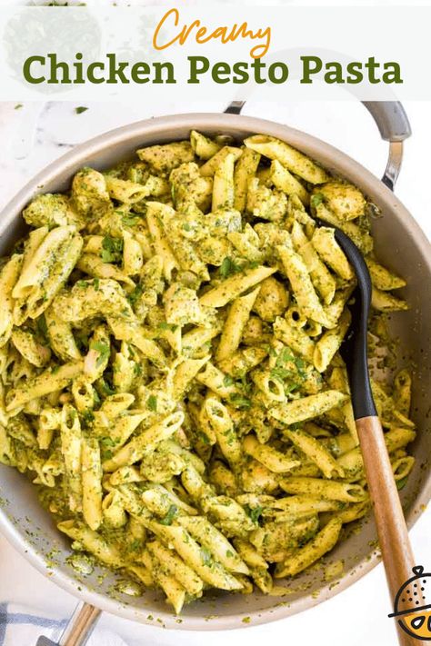 Tuna Pesto Pasta Recipes, No Tomato Pasta Recipes, Rotisserie Chicken Recipes Pasta, Creamy Chicken Pesto Pasta, Creamy Chicken Pesto, Creamy Pesto Chicken, Pesto Pasta Recipes Chicken, Chicken Pesto Pasta, Creamy Pesto Chicken Pasta