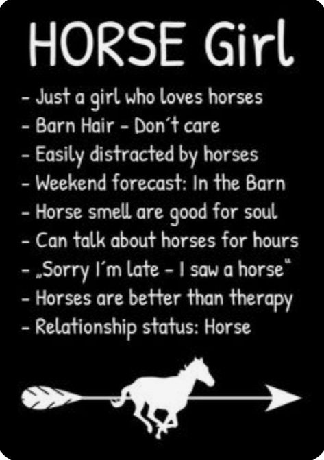 Equestrian Quotes, Cute Horse Quotes, Horse Memes, Horse Quotes Funny, Funny Horse Pictures, Inspirational Horse Quotes, Horse Riding Quotes, Cowgirl Quotes, Beautiful Horses Photography