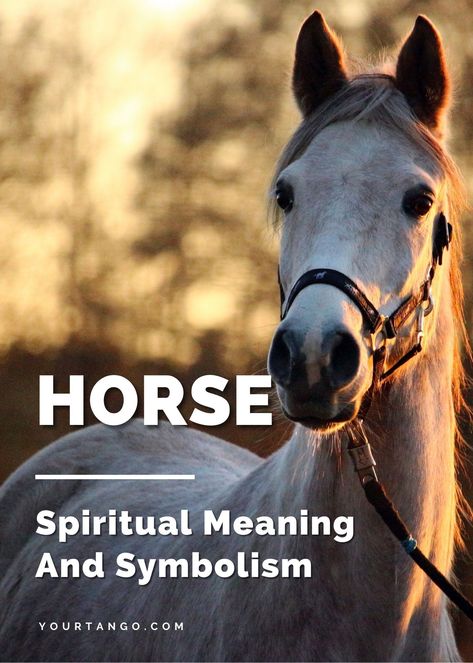 Horse Meaning Spirit Animal, White Horse Spiritual Meaning, Horse Symbolism Meaning, Horse Totem Spirit Animal, Spirit Animal Horse, Horse Spirit Animal Meaning, Horse Spiritual Meaning, Horse Meaning, Horse Symbolism