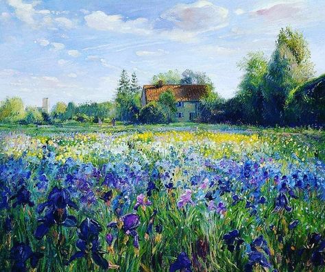 Iris Flowers Painting, Timothy Easton, Poem Painting, Iris Field, Flower Field Painting, Flower Feild, Iris Painting, Field Painting, Iris Flower