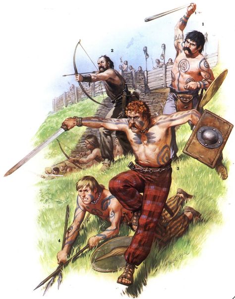 Belgae light infantry Celt.1st century BC- 1st  century AD-Angus McBride. Celtic Mythology, Warriors Illustration, Historical Warriors, Celtic Warriors, Ancient Celts, Irish Warrior, Celtic Culture, Ancient Warfare, Ancient People