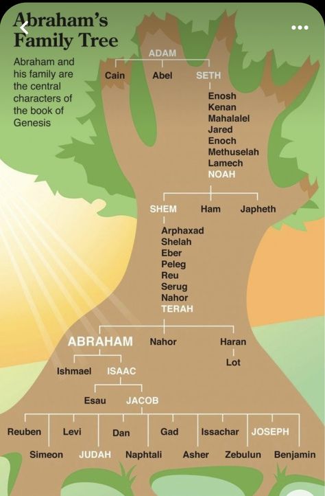 Abraham Family Tree, Quick View Bible, Woord Van God, The Descendants, Bible Study Help, Family Worship, Bible History, Ayat Alkitab, Bible Facts