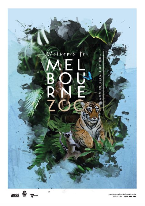 Designed by Stephanie Wills Unit 4 VCE Vis Com- Melbourne Zoo  Promotional Poster Zoo Poster Design Graphics, Safari Design Poster, Safari Poster Design, Zoo Brochure Design, Zoo Graphic Design, Zoo Flyer, Animal Poster Design, Zoo Poster Design, Safari Poster