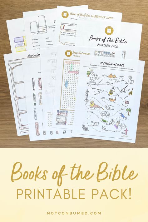 First 5 Books Of The Bible Craft, Bible Month Activities, Bible Books For Kids, Bible Study For Homeschool, Book Of John Bible Study For Kids, Books Of Bible Craft, Bible Interactive Notebook, Ahg Bible Basics Badge, Bible Drill Games Free Printable