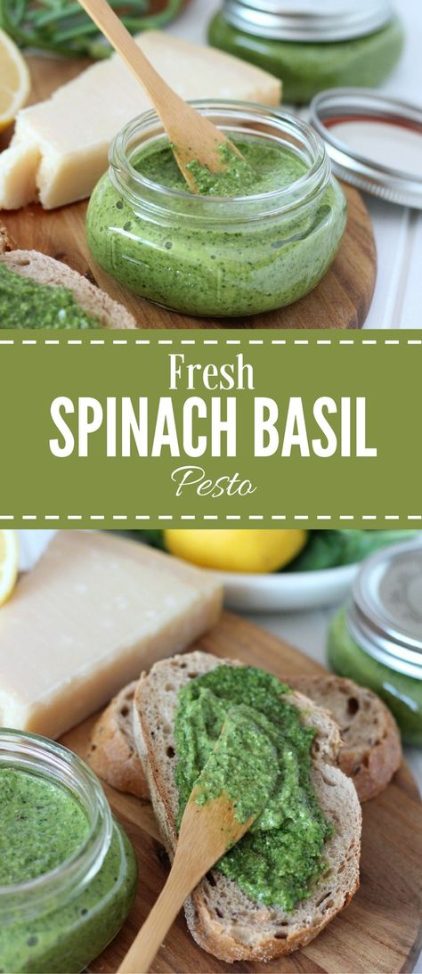 Fresh Spinach Basil Pesto with Garlic Scapes - Recipe by Satori Design for Living Oms Diet, Spinach Pesto Recipe, Scape Pesto, Dips Appetizers, Spinach Basil Pesto, Garlic Scape Pesto, Raw Veggies, Basil Pesto Recipes, Spinach Pesto